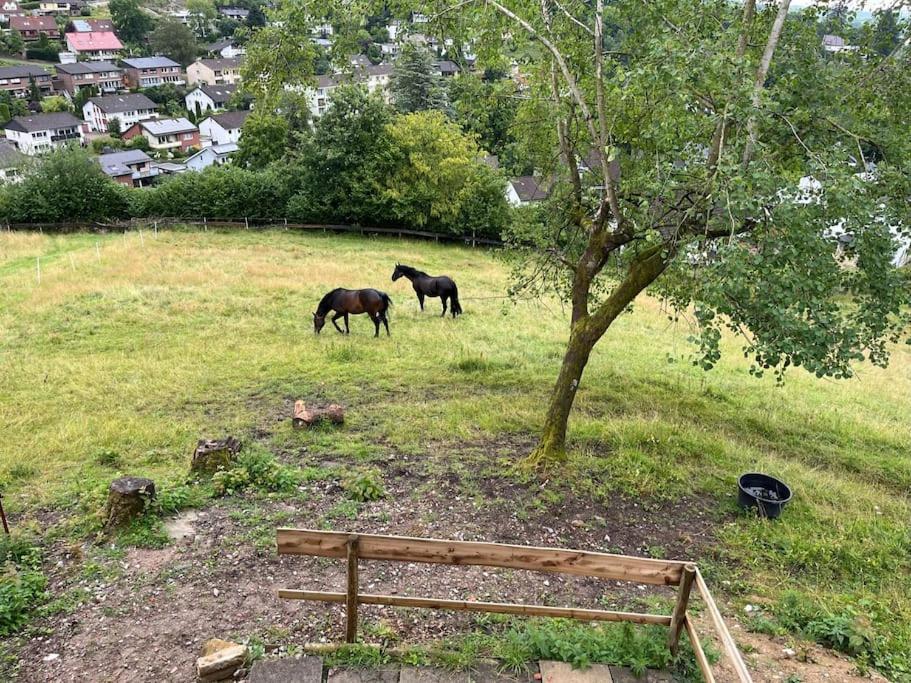 Altes Bauernhaus In Der Natur Detmold Zewnętrze zdjęcie
