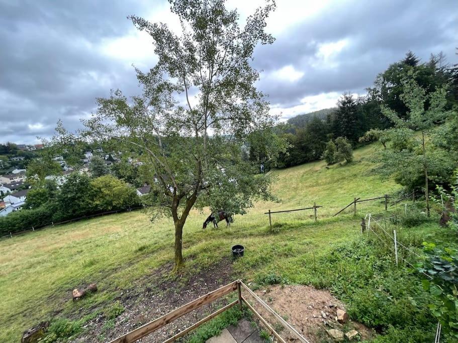 Altes Bauernhaus In Der Natur Detmold Zewnętrze zdjęcie